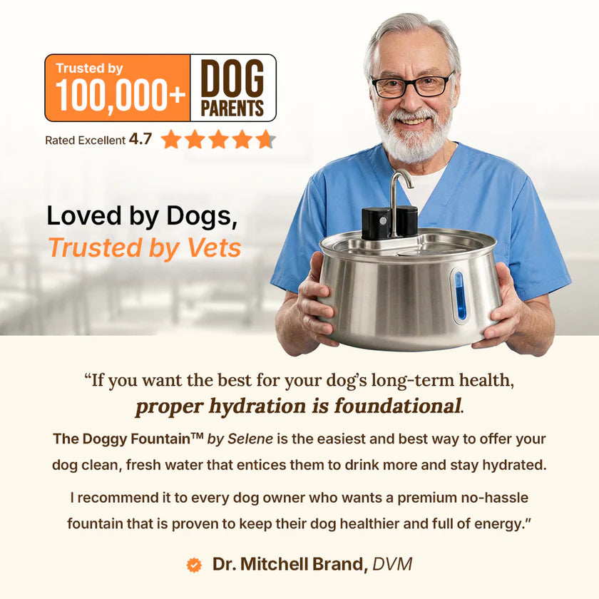 The Doggy Fountain™