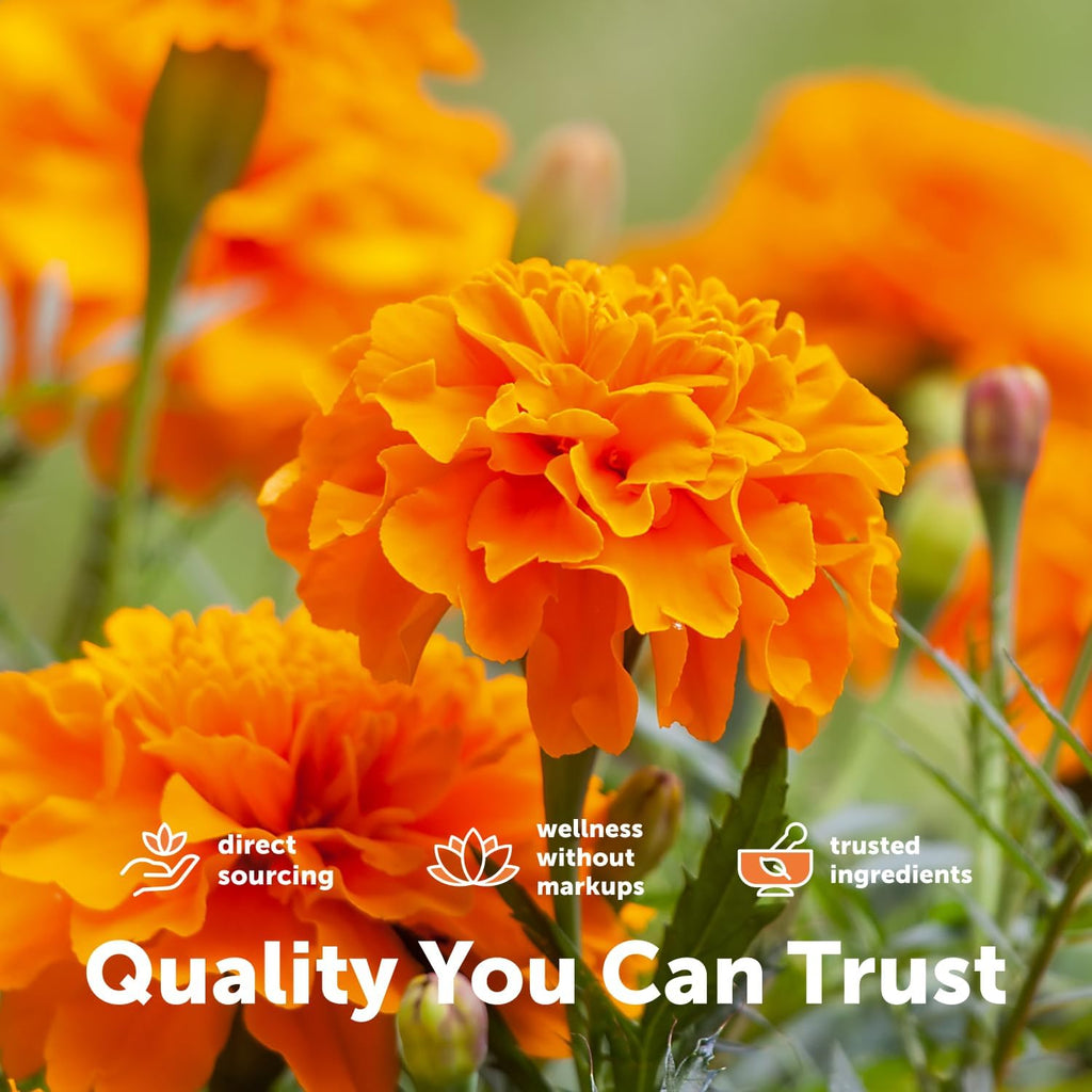 Micro Ingredients Lutein Zeaxanthin 40mg Per Serving | Omega-3 DHA + EPA