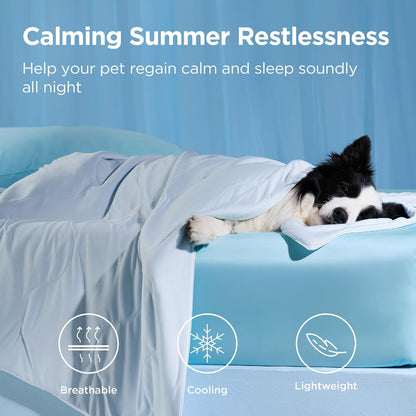 Bedsure Cooling Blanket for Small Dogs Breathable Throw Q-MAX>0.4, 25x35 | Air-Core Fill，Washable Dog Cooling Mat Soft, Lightweight Puppy Cat Pet Couch Cover, Cold Blanket for Summer, Arctic Blue