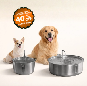 The Doggy Fountain™