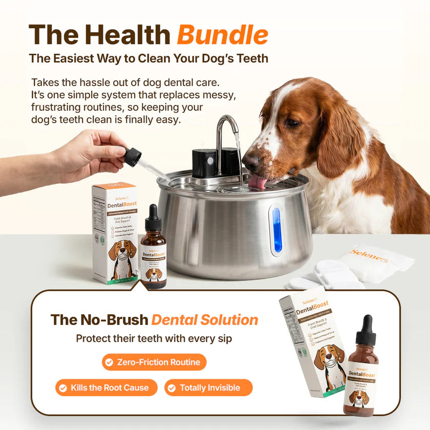 The Doggy Fountain™