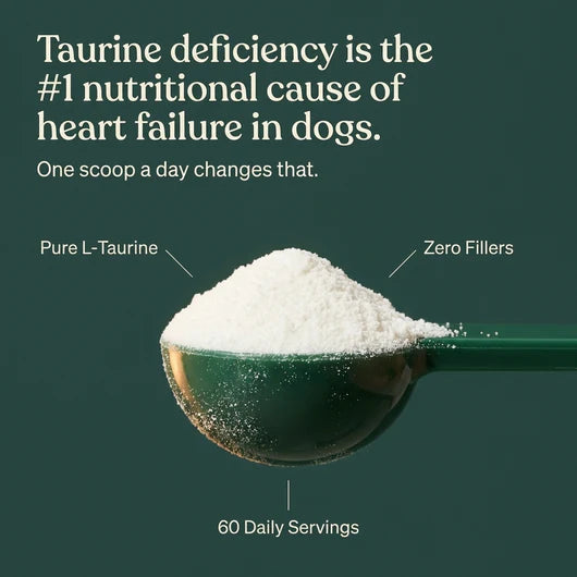 Avora Taurine Supplement