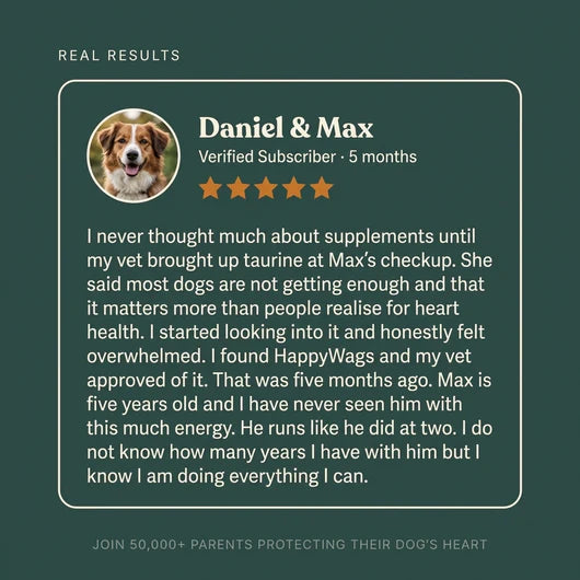 Avora Taurine Supplement