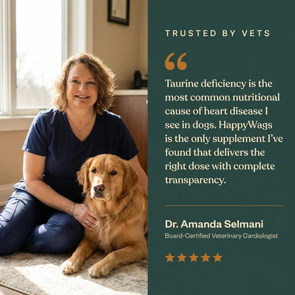 Avora Taurine Supplement