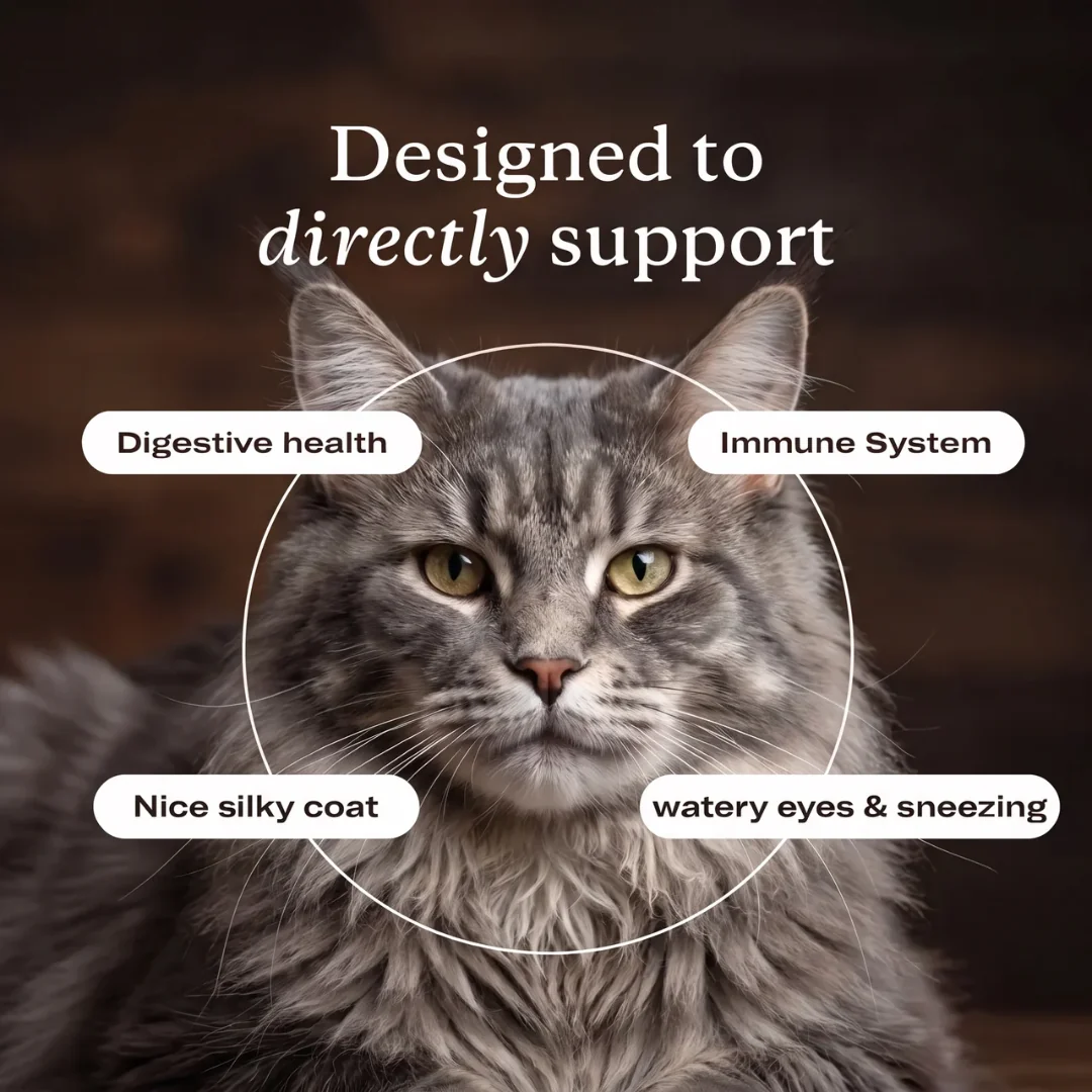 Immune & Eye Support Drops