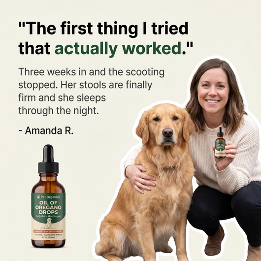 Dog Oil of Oregano Drops