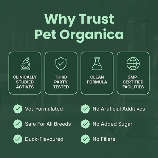 Dog Oil of Oregano Drops