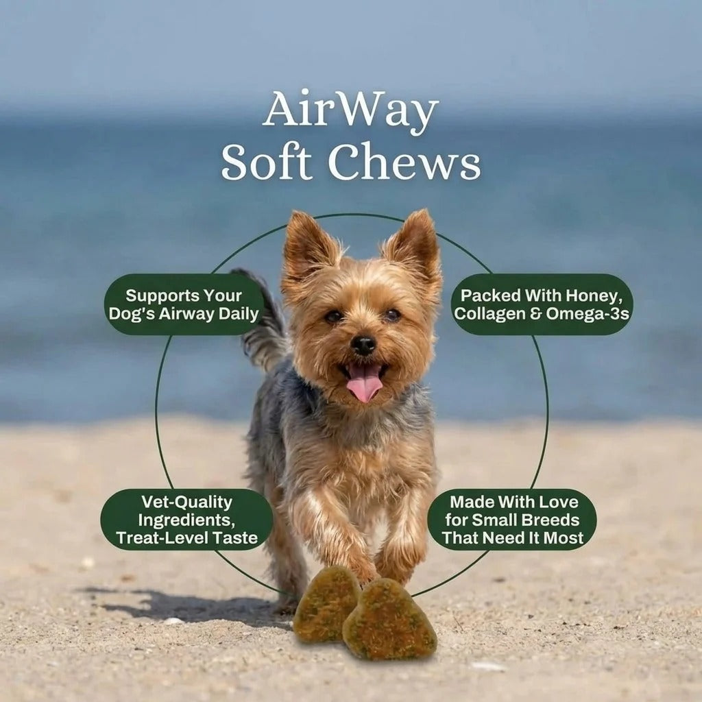 Airway Support Soft Chews for Small Breeds