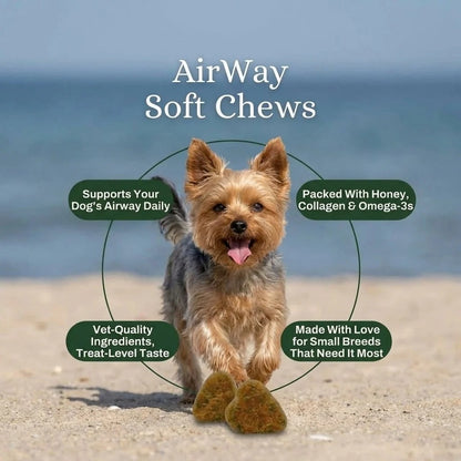 Airway Support Soft Chews for Small Breeds