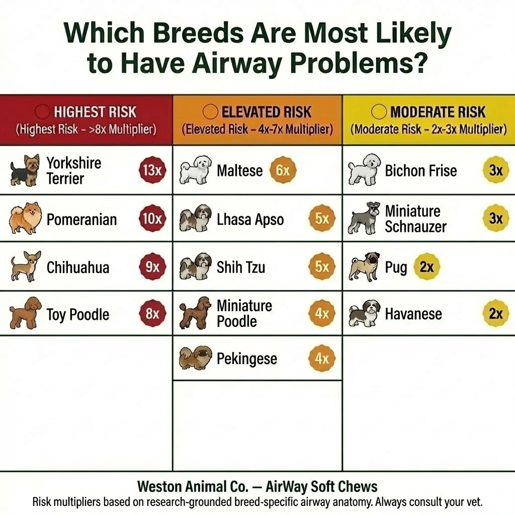 Airway Support Soft Chews for Small Breeds