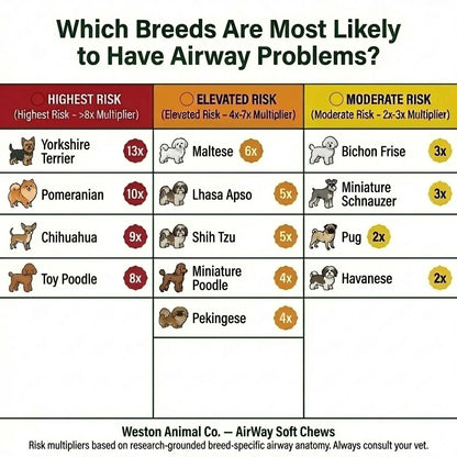 Airway Support Soft Chews for Small Breeds