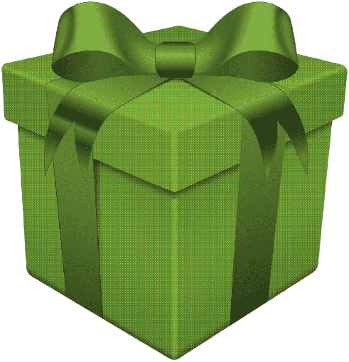 Mystery Gift